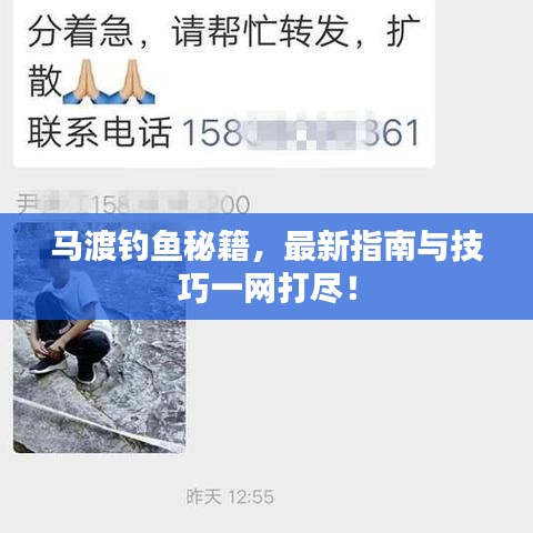 马渡钓鱼秘籍，最新指南与技巧一网打尽！