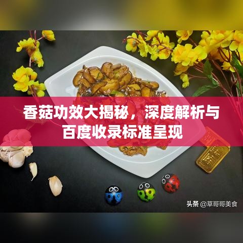 香菇功效大揭秘，深度解析与百度收录标准呈现