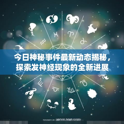 今日神秘事件最新动态揭秘，探索发神经现象的全新进展