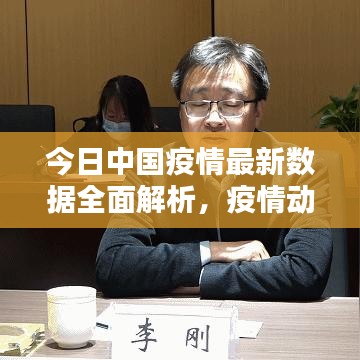 今日中国疫情最新数据全面解析，疫情动态及影响概览