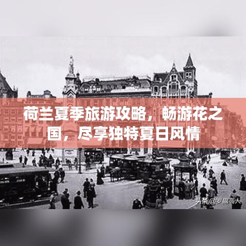 荷兰夏季旅游攻略，畅游花之国，尽享独特夏日风情