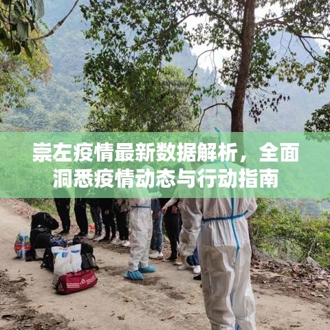 崇左疫情最新数据解析，全面洞悉疫情动态与行动指南