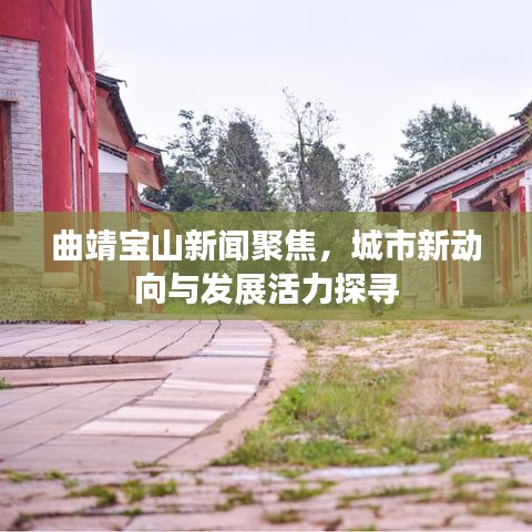 曲靖宝山新闻聚焦，城市新动向与发展活力探寻