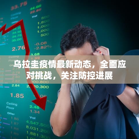 乌拉圭疫情最新动态，全面应对挑战，关注防控进展