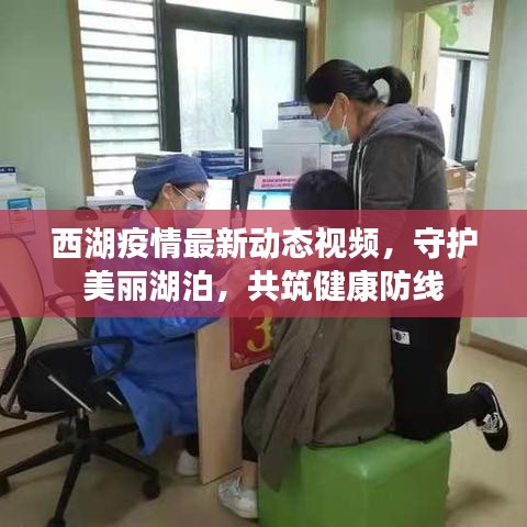 西湖疫情最新动态视频，守护美丽湖泊，共筑健康防线