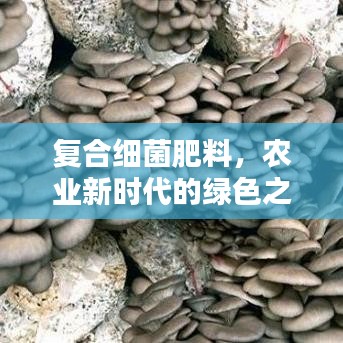 复合细菌肥料，农业新时代的绿色之选