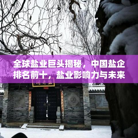 全球盐业巨头揭秘，中国盐企排名前十，盐业影响力与未来趋势展望