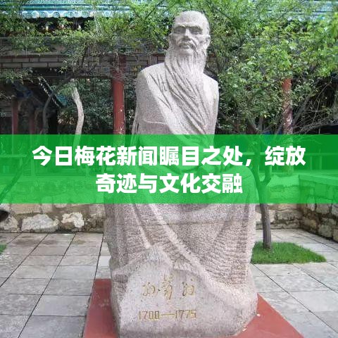 今日梅花新闻瞩目之处，绽放奇迹与文化交融