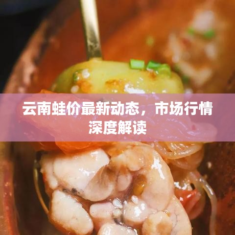 云南蛙价最新动态，市场行情深度解读