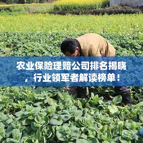 农业保险理赔公司排名揭晓，行业领军者解读榜单！