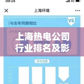 上海热电公司行业排名及影响力深度解析