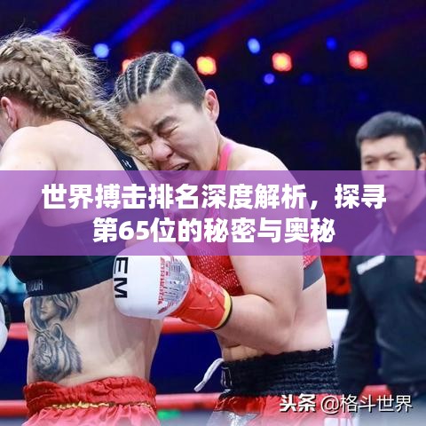 世界搏击排名深度解析，探寻第65位的秘密与奥秘