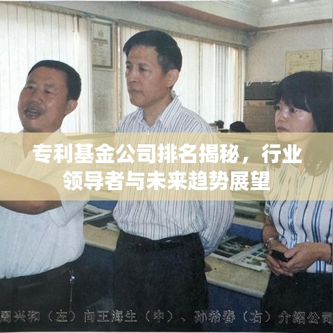 专利基金公司排名揭秘，行业领导者与未来趋势展望