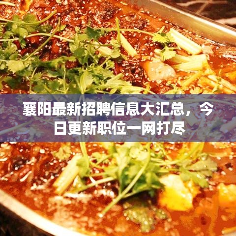 襄阳最新招聘信息大汇总，今日更新职位一网打尽