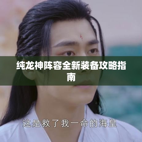纯龙神阵容全新装备攻略指南