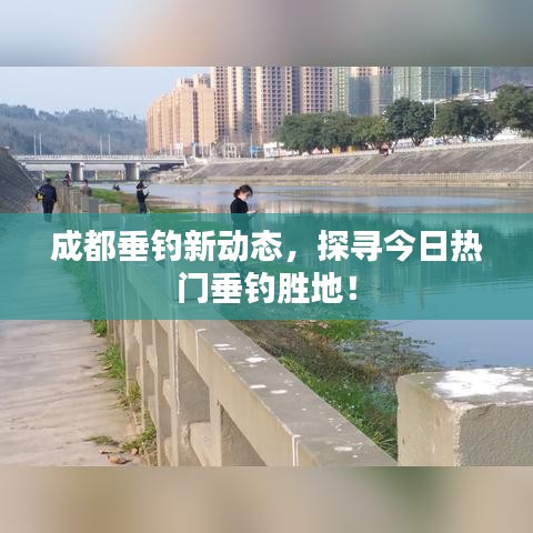 成都垂钓新动态，探寻今日热门垂钓胜地！