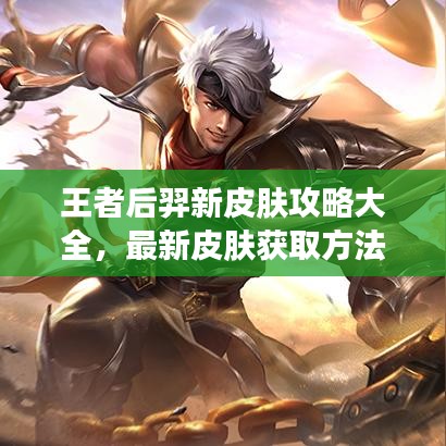 王者后羿新皮肤攻略大全，最新皮肤获取方法与使用技巧