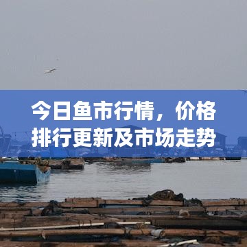 今日鱼市行情，价格排行更新及市场走势深度解析