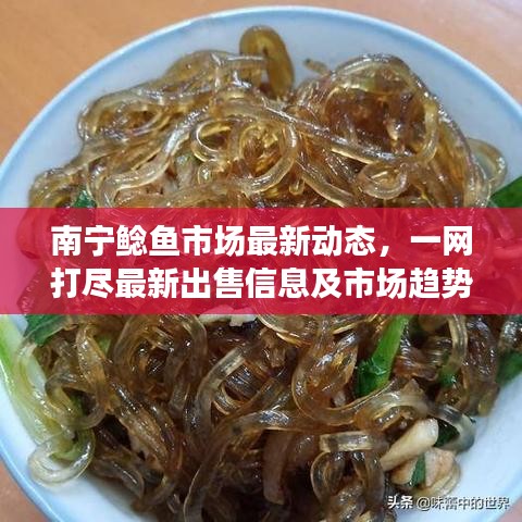 南宁鲶鱼市场最新动态，一网打尽最新出售信息及市场趋势分析