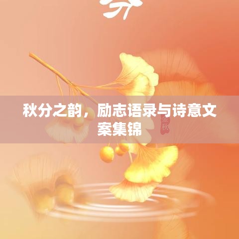 秋分之韵，励志语录与诗意文案集锦