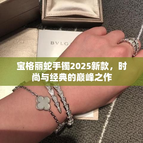 宝格丽蛇手镯2025新款，时尚与经典的巅峰之作