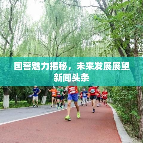 国窖魅力揭秘，未来发展展望新闻头条