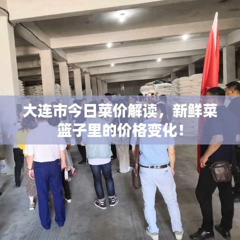 大连市今日菜价解读，新鲜菜篮子里的价格变化！