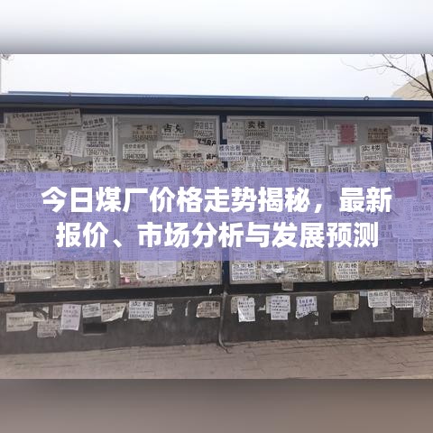 今日煤厂价格走势揭秘，最新报价、市场分析与发展预测