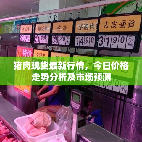 猪肉现货最新行情，今日价格走势分析及市场预测