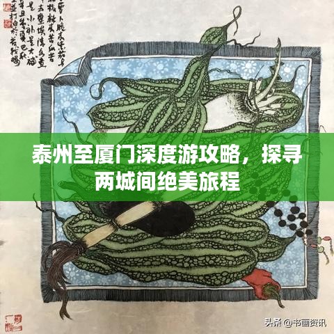 泰州至厦门深度游攻略，探寻两城间绝美旅程