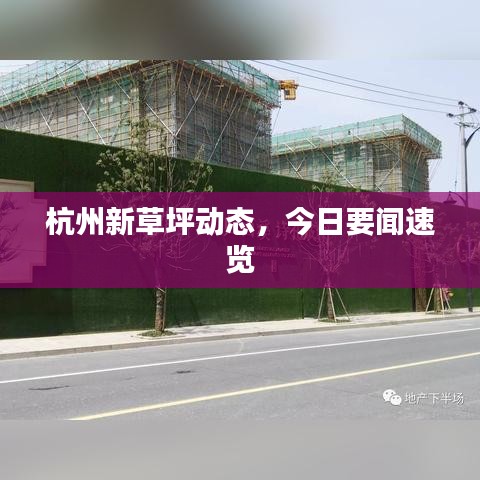 杭州新草坪动态，今日要闻速览