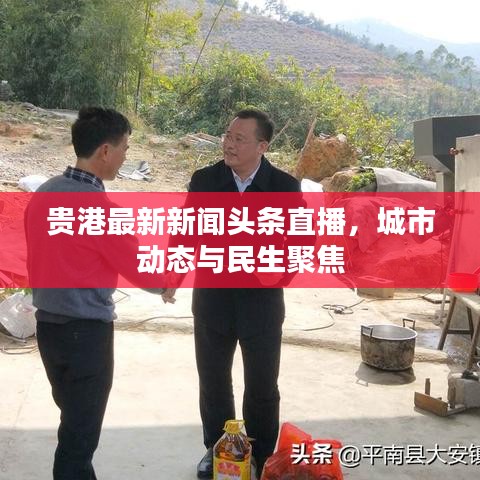 贵港最新新闻头条直播，城市动态与民生聚焦