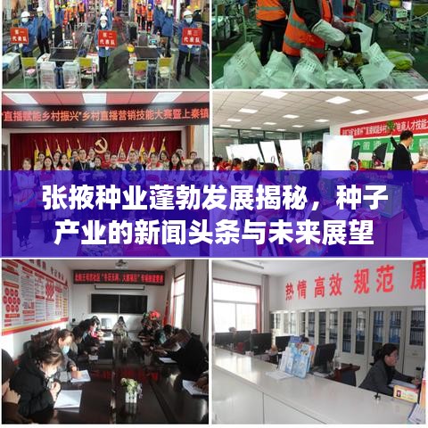 张掖种业蓬勃发展揭秘，种子产业的新闻头条与未来展望