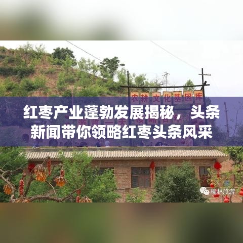 红枣产业蓬勃发展揭秘，头条新闻带你领略红枣头条风采