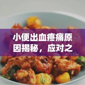 小便出血疼痛原因揭秘，应对之策全解析（百度收录标准）