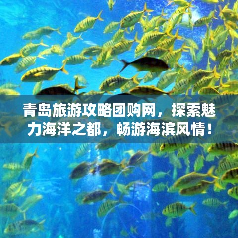 青岛旅游攻略团购网，探索魅力海洋之都，畅游海滨风情！
