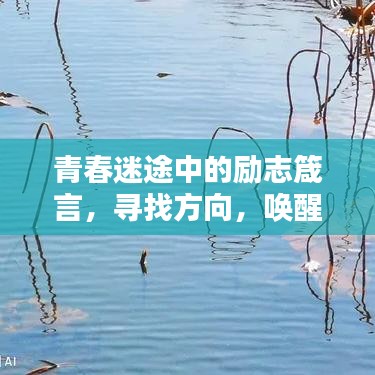 青春迷途中的励志箴言，寻找方向，唤醒希望之光