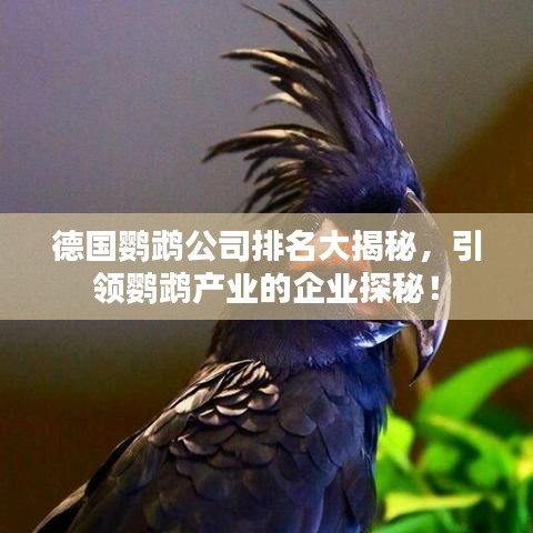 德国鹦鹉公司排名大揭秘，引领鹦鹉产业的企业探秘！