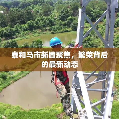 泰和马市新闻聚焦，繁荣背后的最新动态