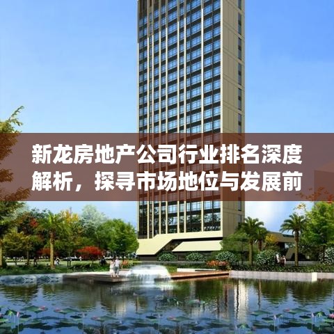 新龙房地产公司行业排名深度解析，探寻市场地位与发展前景