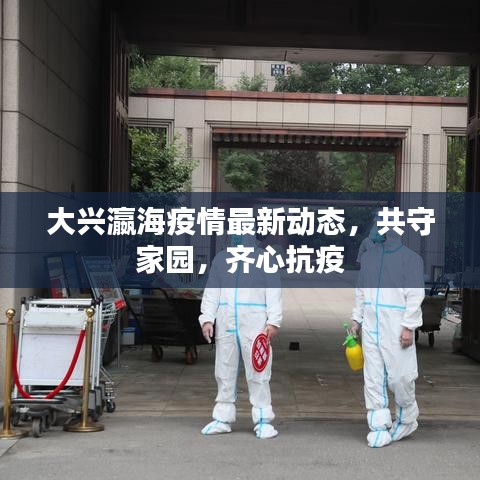 大兴瀛海疫情最新动态，共守家园，齐心抗疫