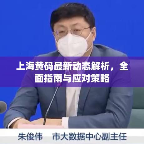 上海黄码最新动态解析，全面指南与应对策略