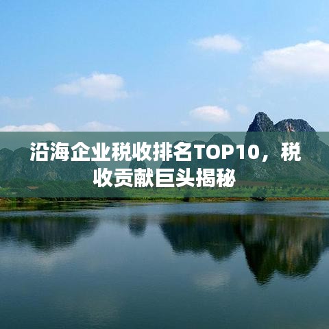 沿海企业税收排名TOP10，税收贡献巨头揭秘