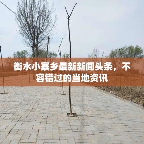 衡水小寨乡最新新闻头条，不容错过的当地资讯