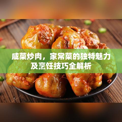 咸菜炒肉，家常菜的独特魅力及烹饪技巧全解析