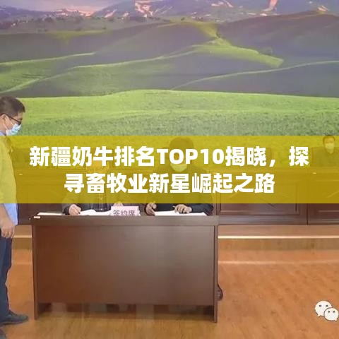 新疆奶牛排名TOP10揭晓，探寻畜牧业新星崛起之路