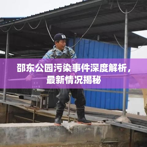 邵东公园污染事件深度解析，最新情况揭秘