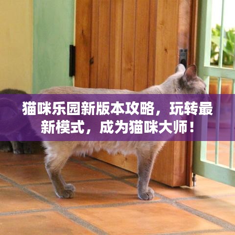 猫咪乐园新版本攻略，玩转最新模式，成为猫咪大师！