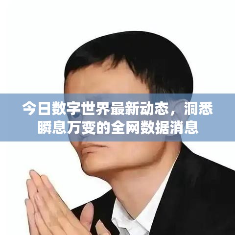 今日数字世界最新动态，洞悉瞬息万变的全网数据消息