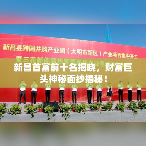 新昌首富前十名揭晓，财富巨头神秘面纱揭秘！